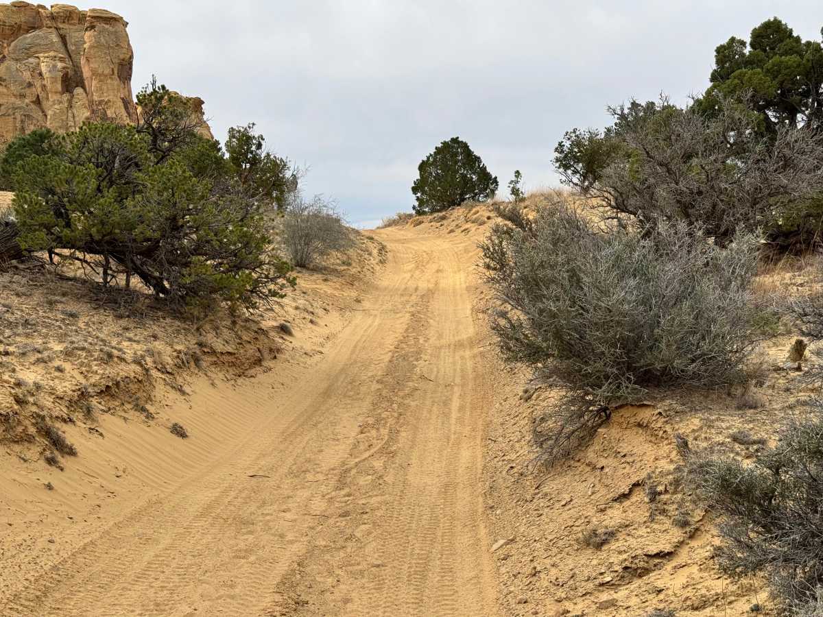 County Road 3630 trail photo