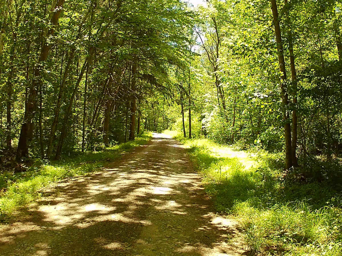 Bell Furnace Road photo 4