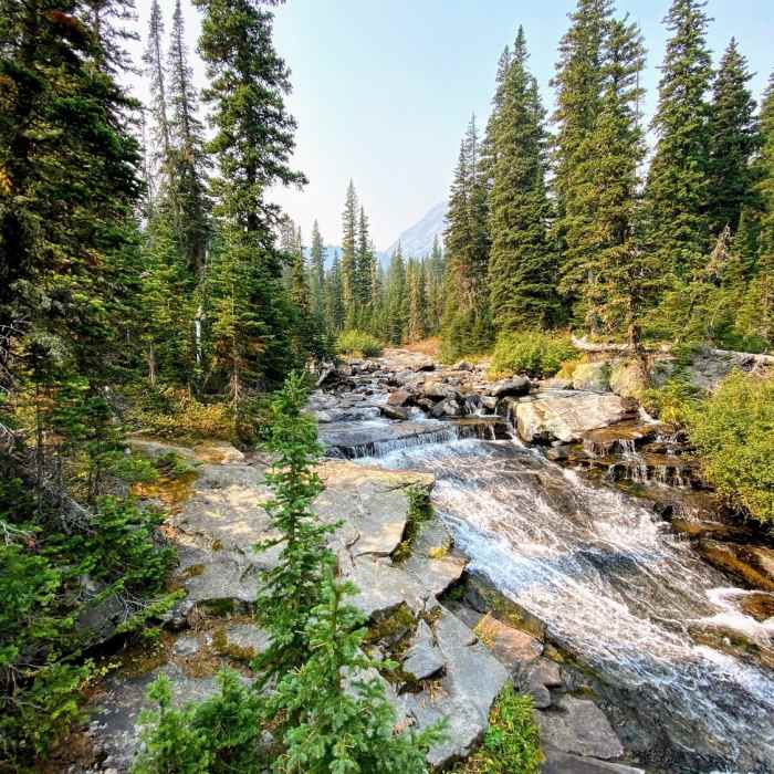 Fast waters pushing down the Big Timber Creek. Near Big Timber Creek Trail #119