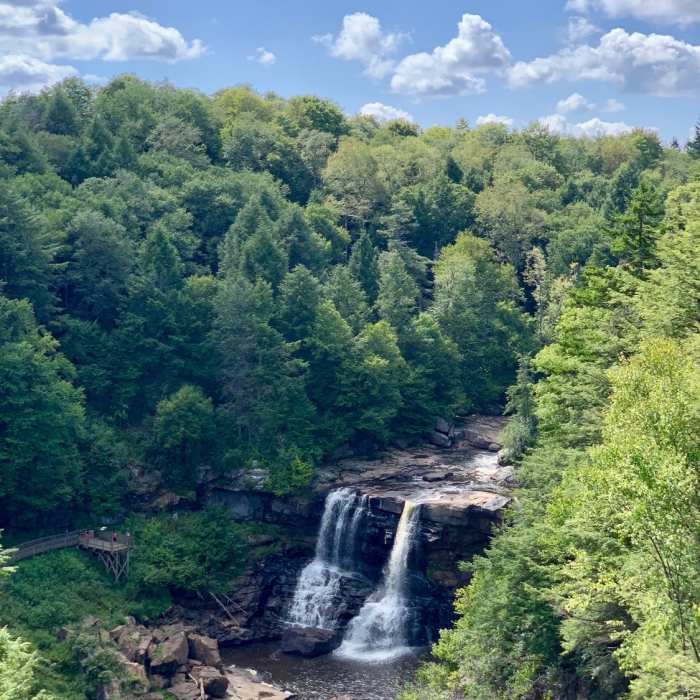 Near Blackwater Falls Boardwalk Trail