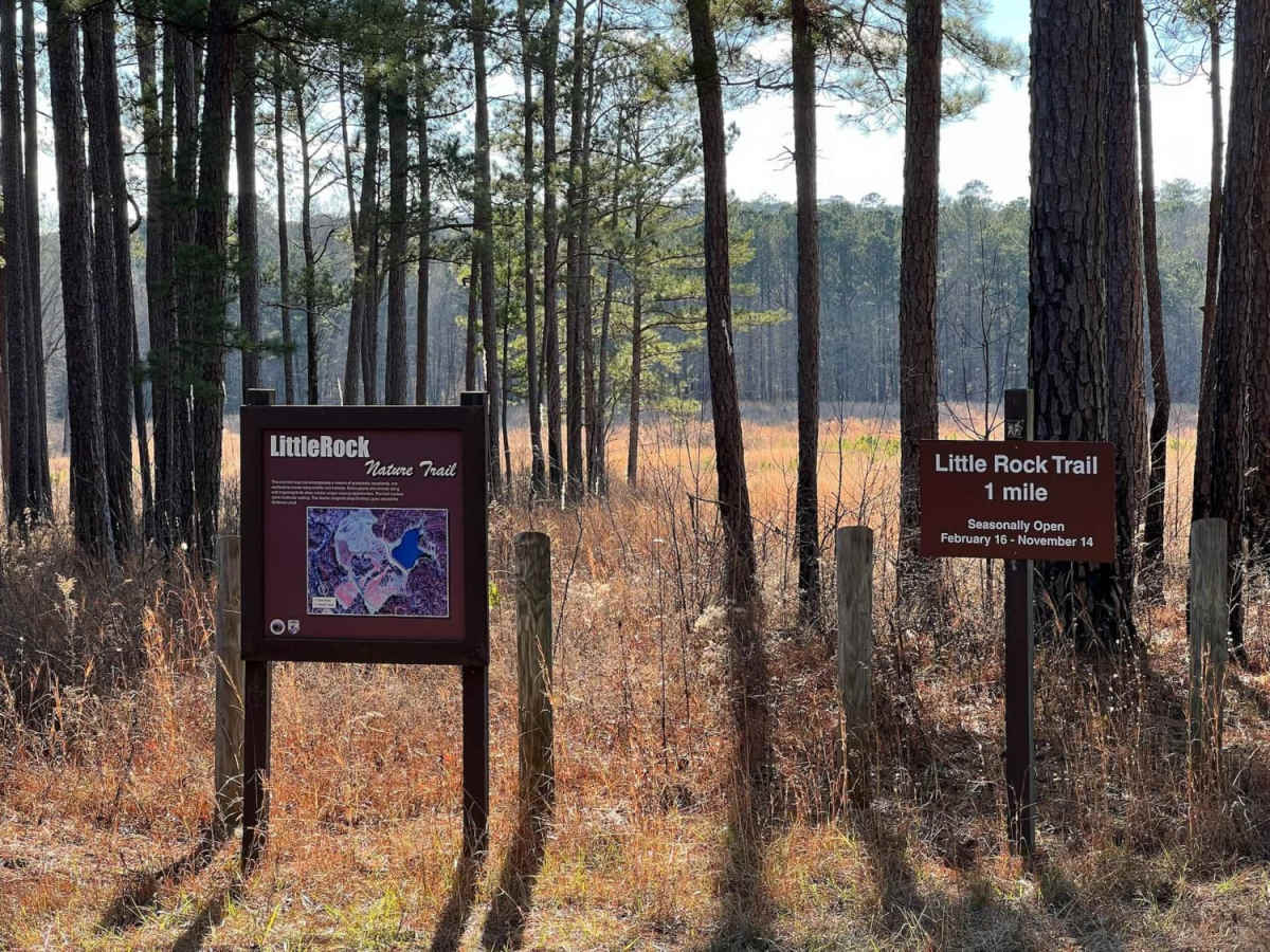 Little Rock Wildlife Drive photo 4