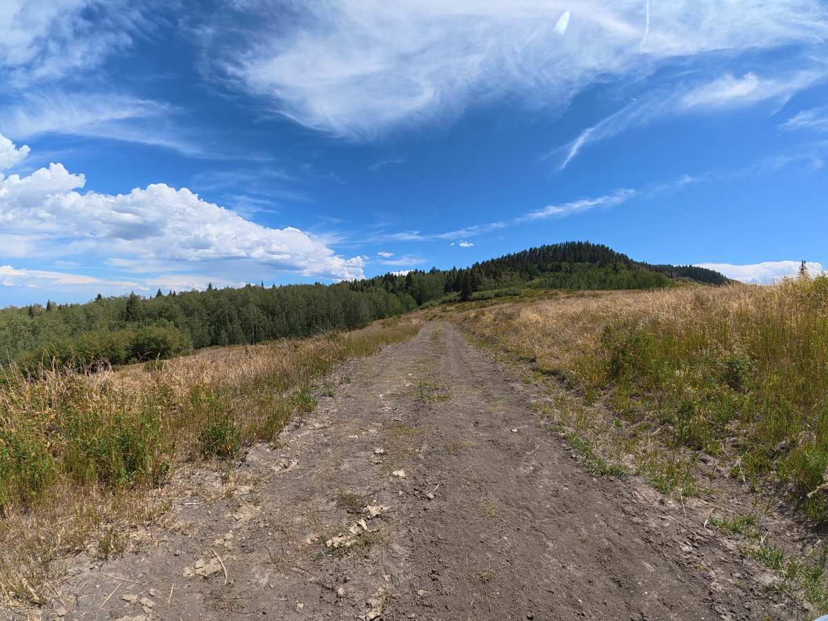 Bear Pen Road photo 4