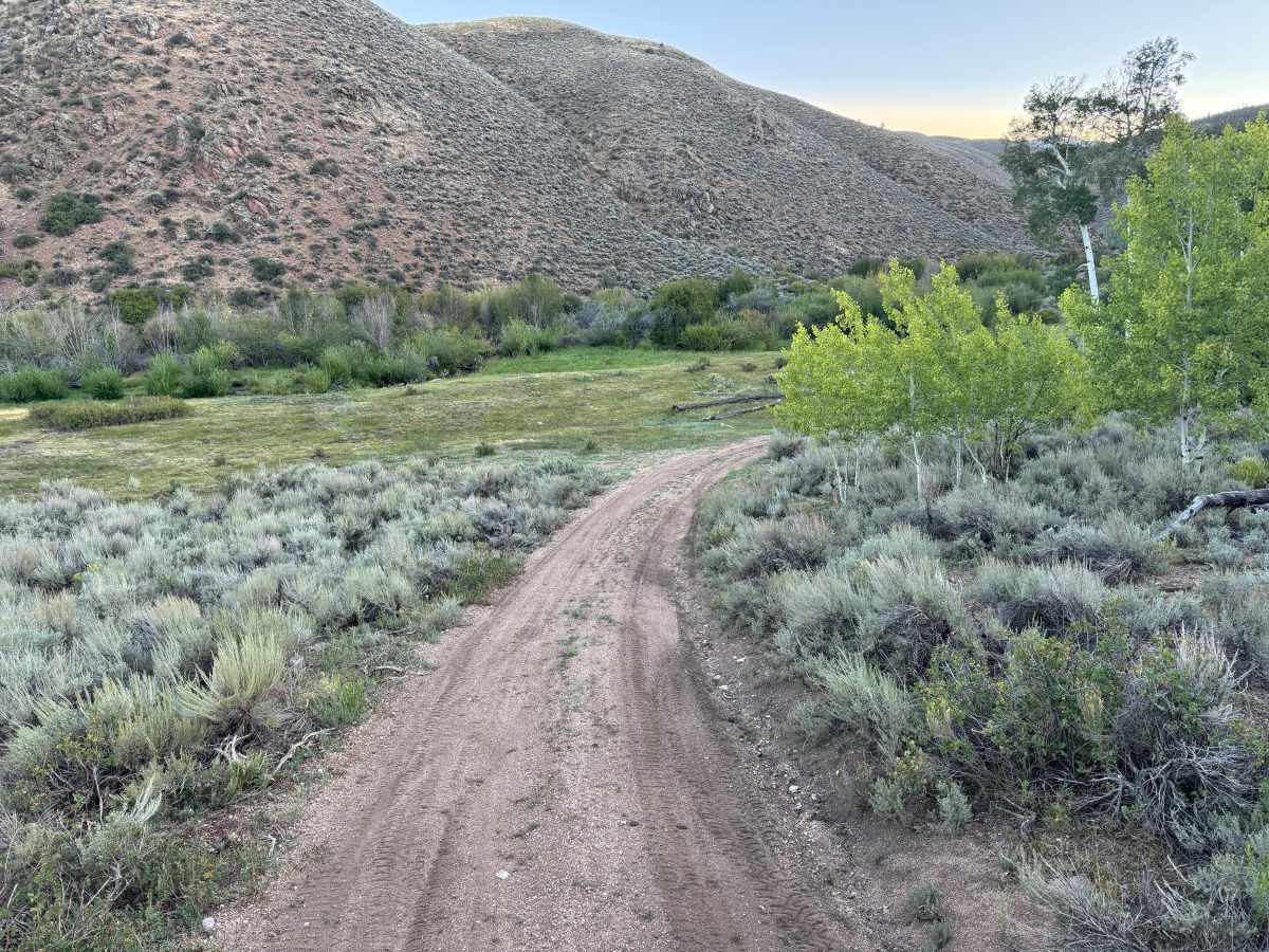 Alder Road trail photo