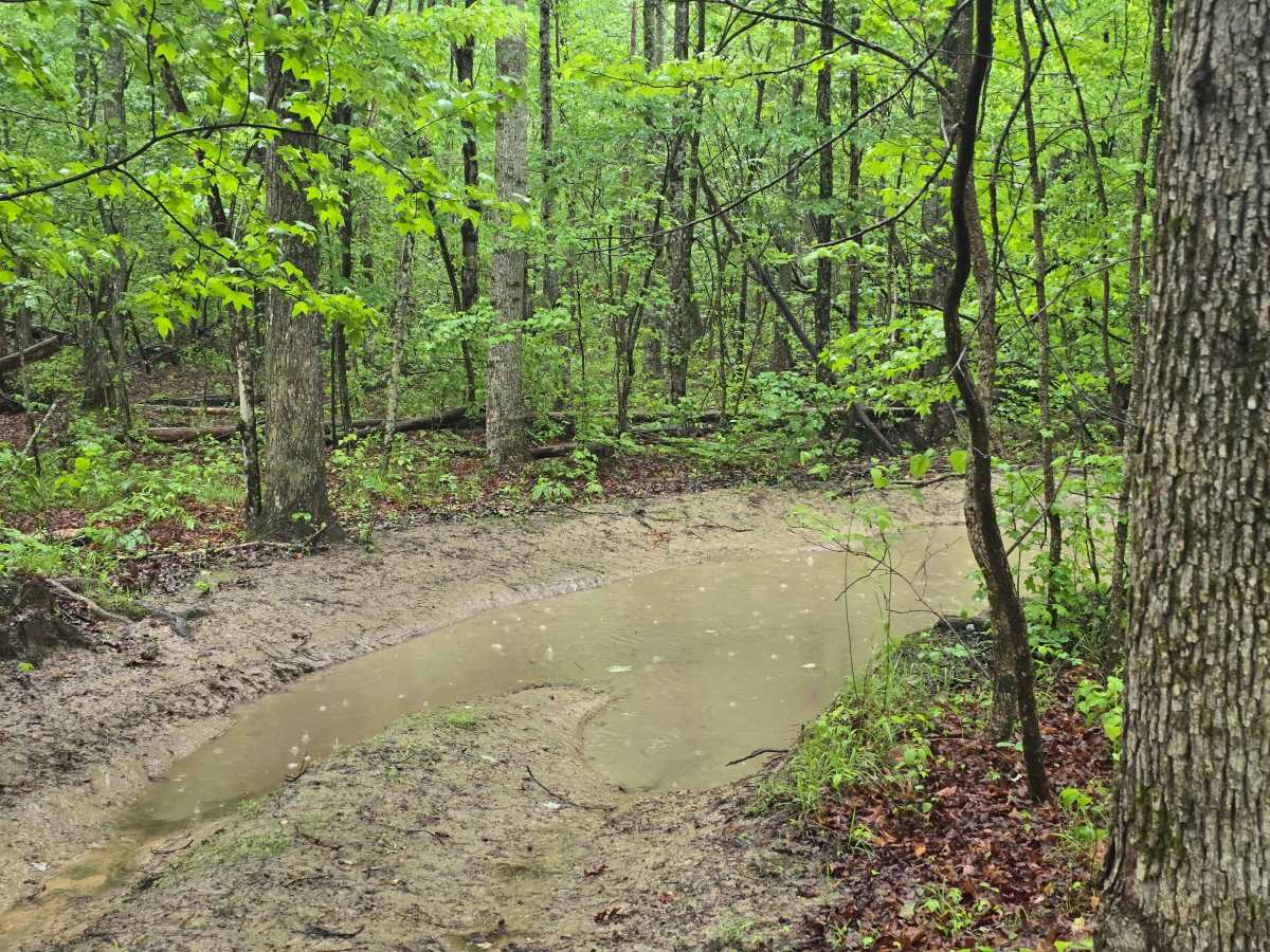 Trail 50 photo 4