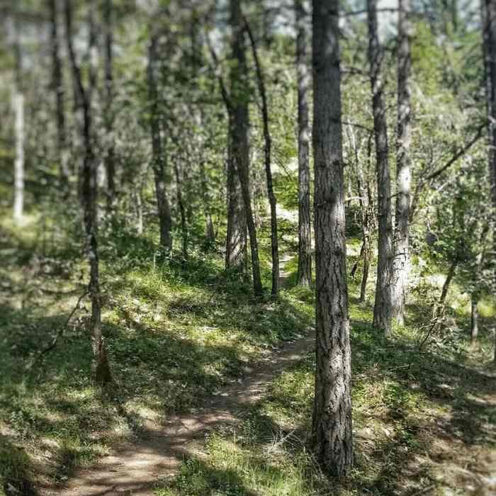 Wild Rose Loop. Near Wild Rose Loop