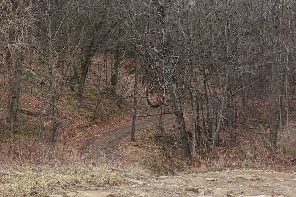 Trail 15 - Rock Run Recreation Area