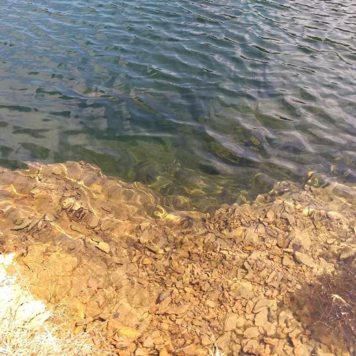 Very clean water Near Buttermilk Falls, Crater Lake, and Hemlock Pond Loop