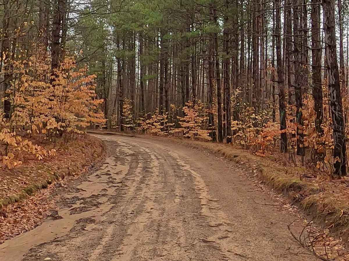 ORV H-57 5 & 8 : Mack- Maltby Hills Loop Trail photo 5