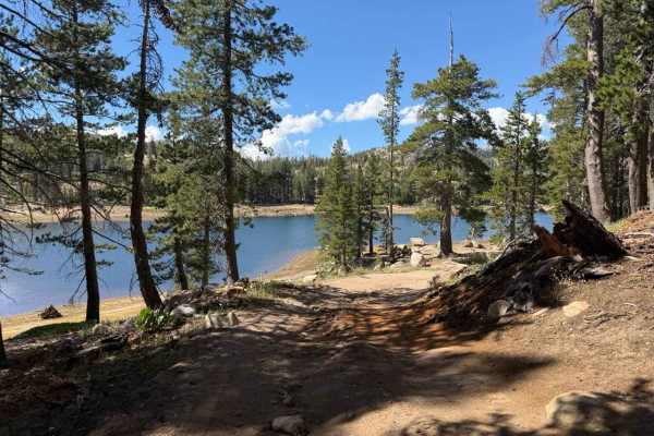 Tamarack Lake Spur - FS 31097A