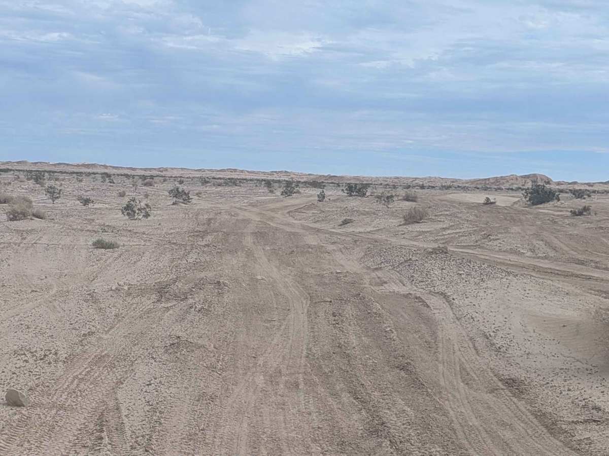 BLM 176 photo 6