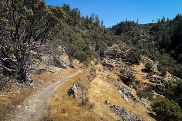 Trail 1-4 (11E42)  
