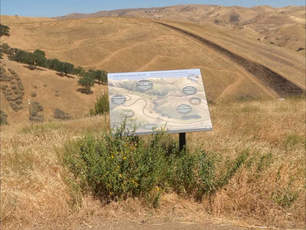 Los Osos Trail photo 5