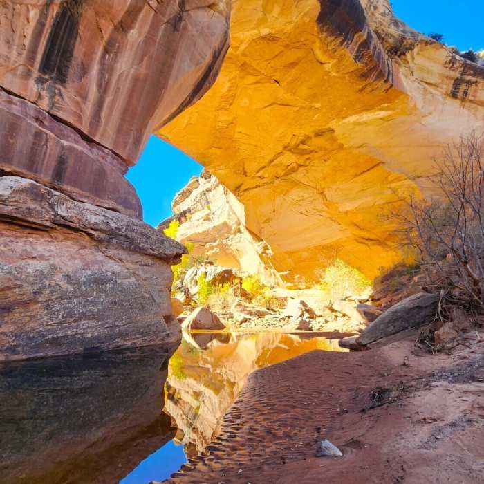 Near Kachina Bridge Trail