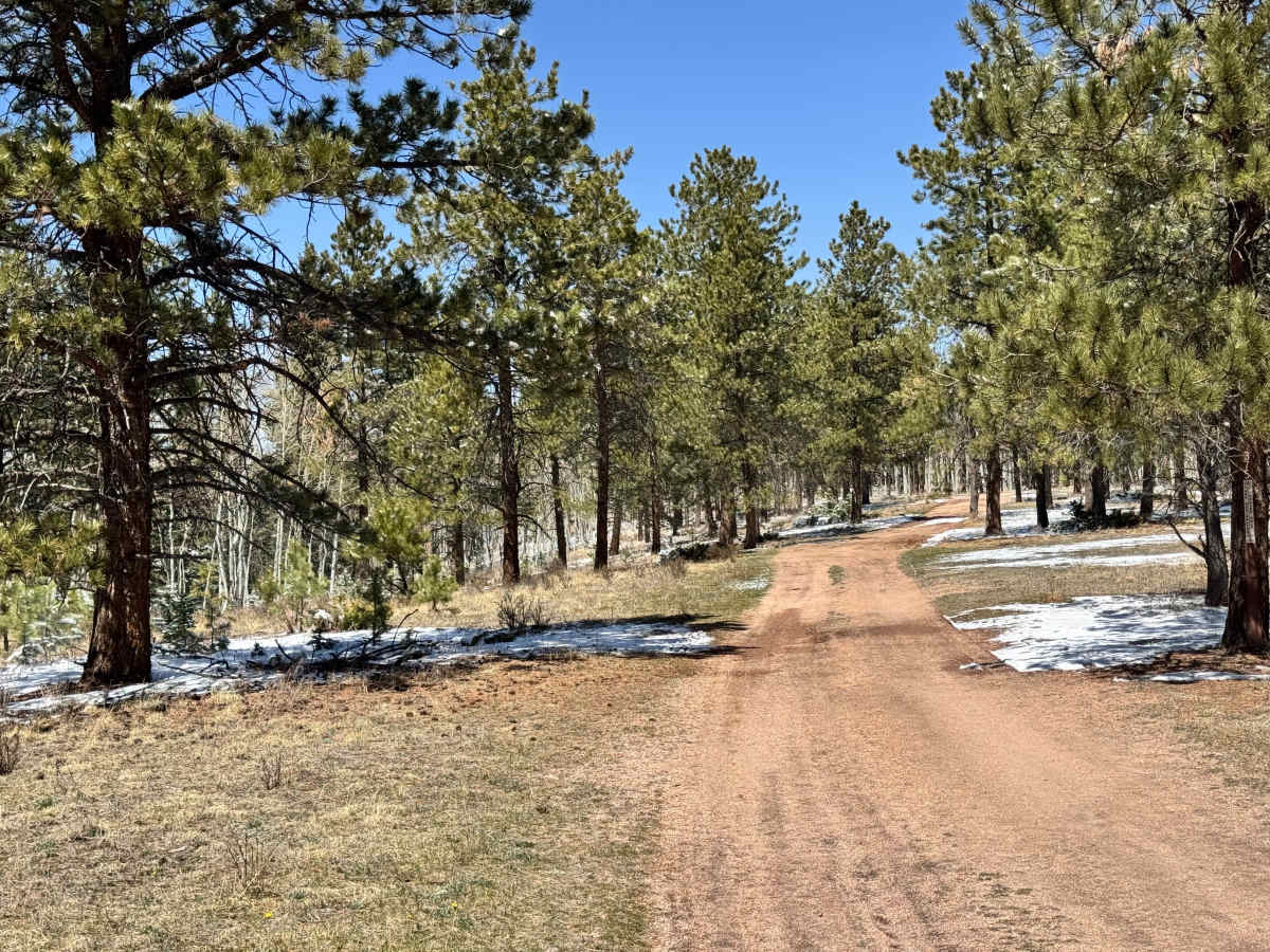 Crazy Gulch Road - FS 375 photo 4