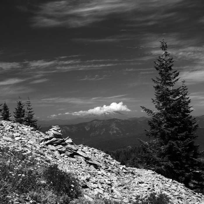 Near Starway Trail #175