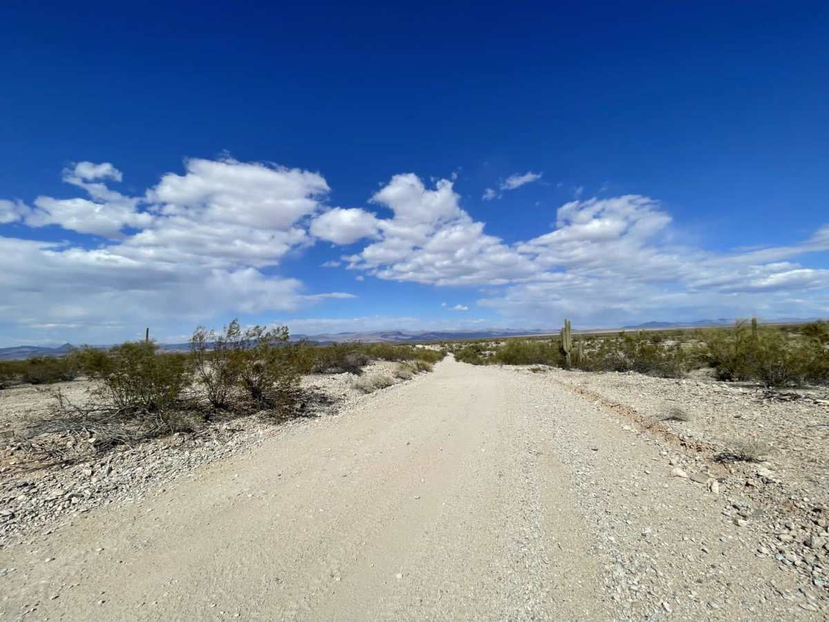 New Alamo Road photo 2