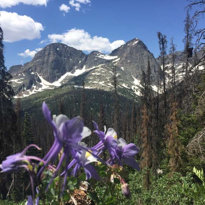 Near Trinity and Silex Lake Route