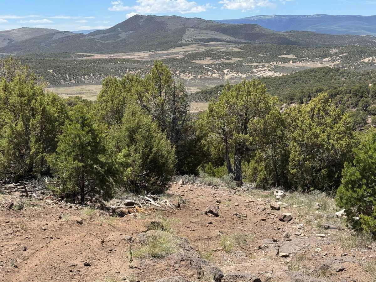 BLM 8470 photo 3