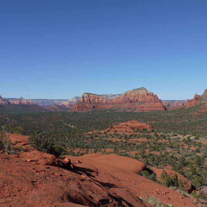 Near Slim Shady Trail