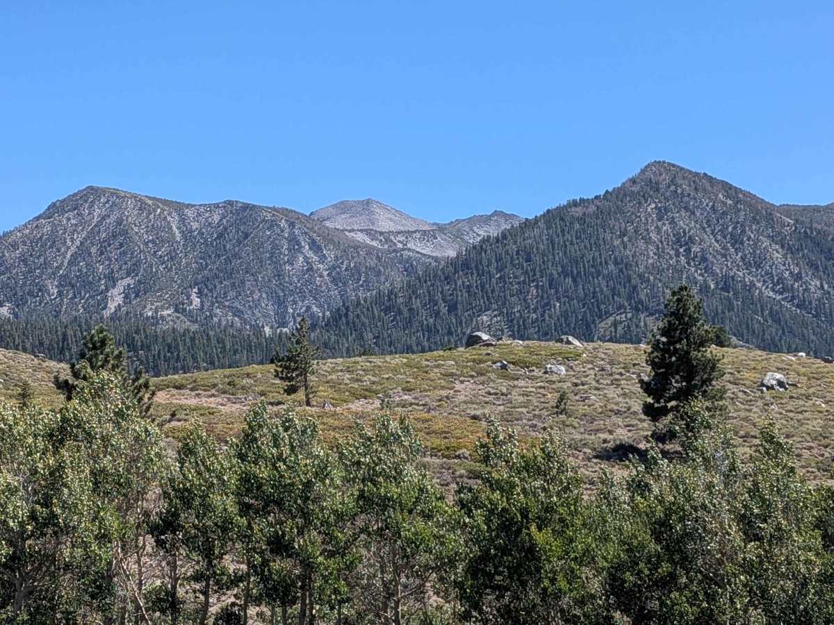 Mammoth Creek Road - FS 3S09 photo 5