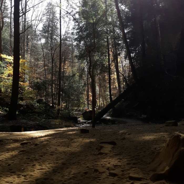 Trail from the Ash Cave recess cave, looking in the direction of the parking lot. 1/4 mile in length. Near Ash Cave Gorge Trail
