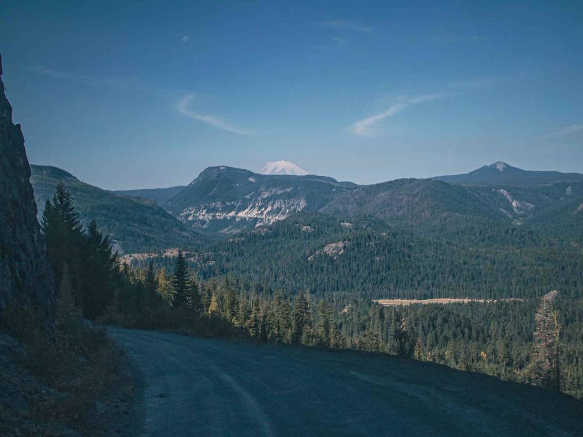 Pinegrass trail photo