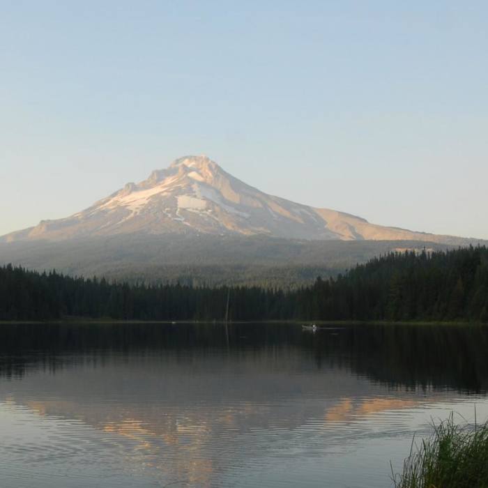 Near Trillium Lake Loop Trail #761