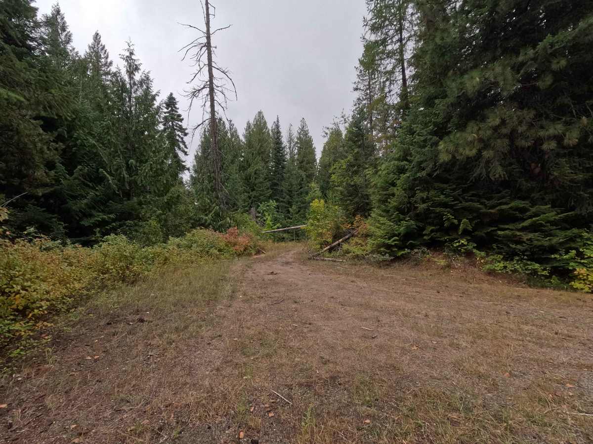 Goose Creek Point - FS 2730B trail photo