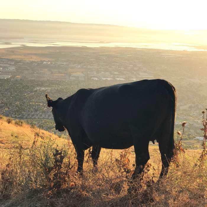 Near Hidden Valley Trail