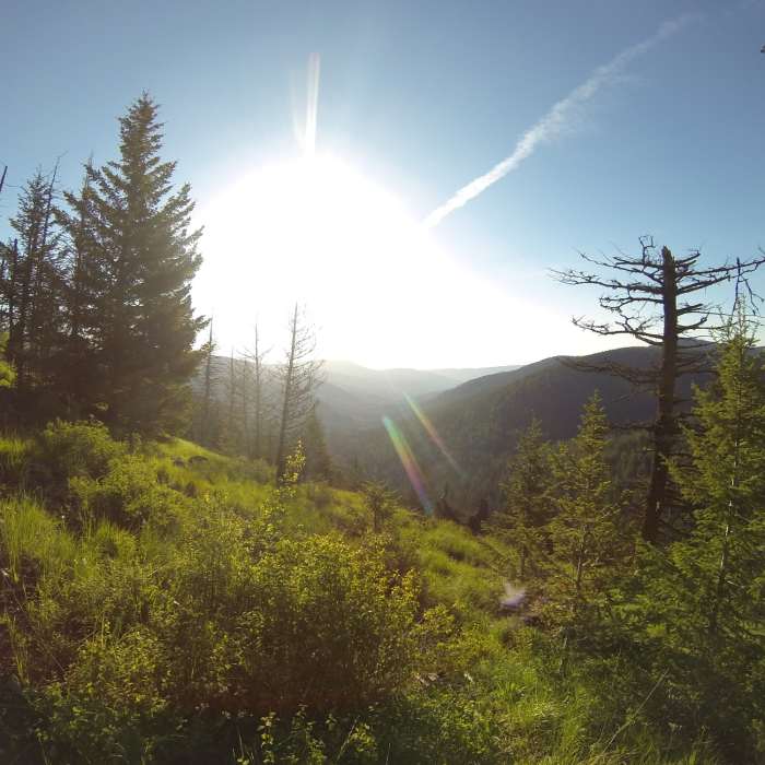 Near Kettle Crest North Trail #13