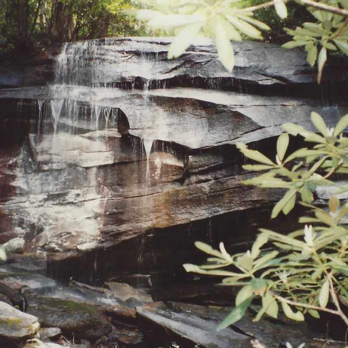 Near Slick Rock Falls Trail #19