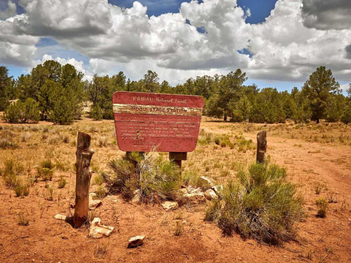 Old 301 Road (Southern Section) photo 4