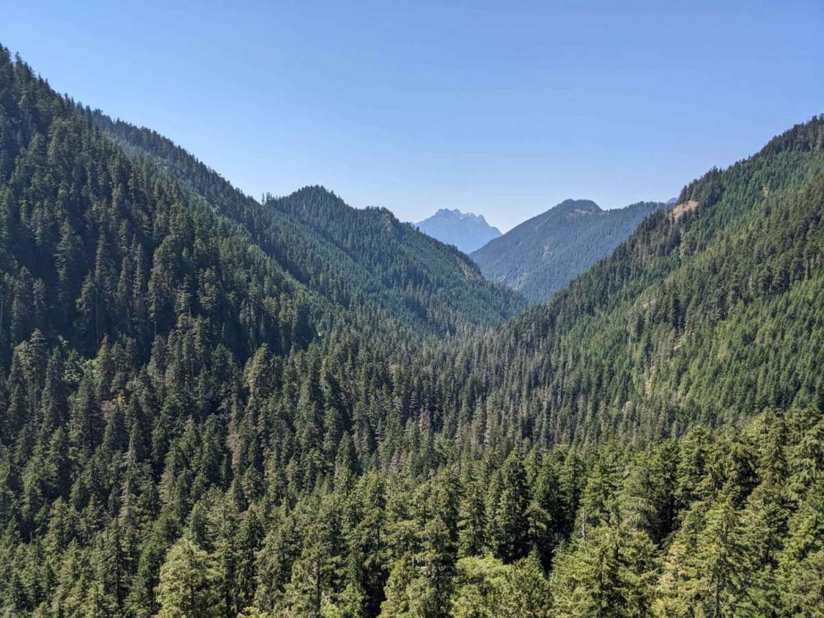 Hamma Hamma Trail with View of The Brothers trail photo