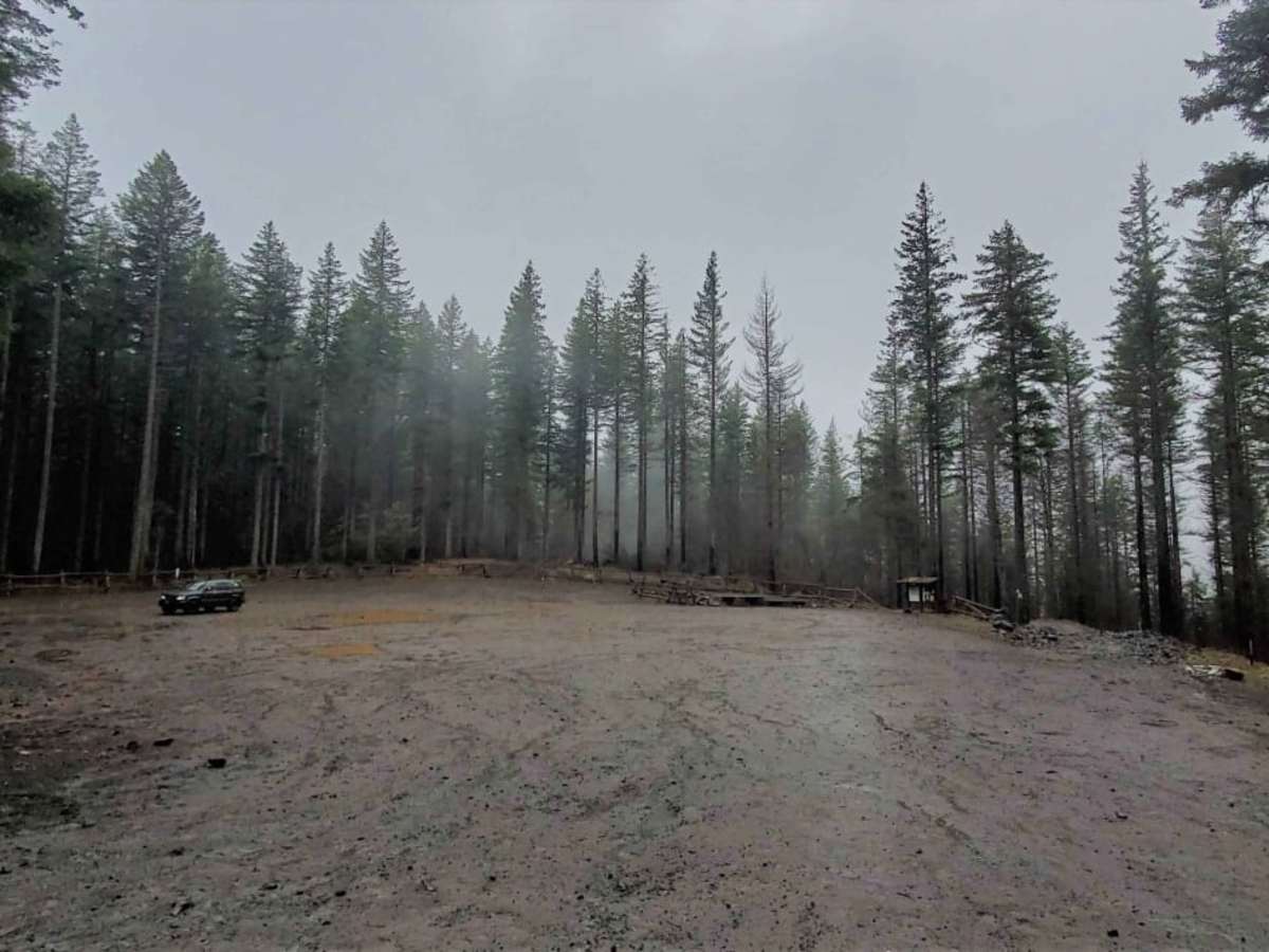 Abbott Road 4610 photo 2