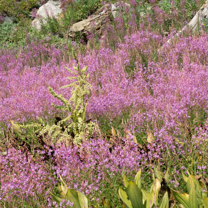 Near Lake Anna via Long Canyon