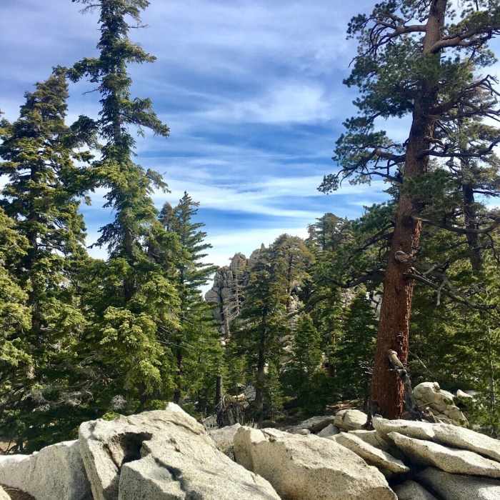 Near Round Valley Loop