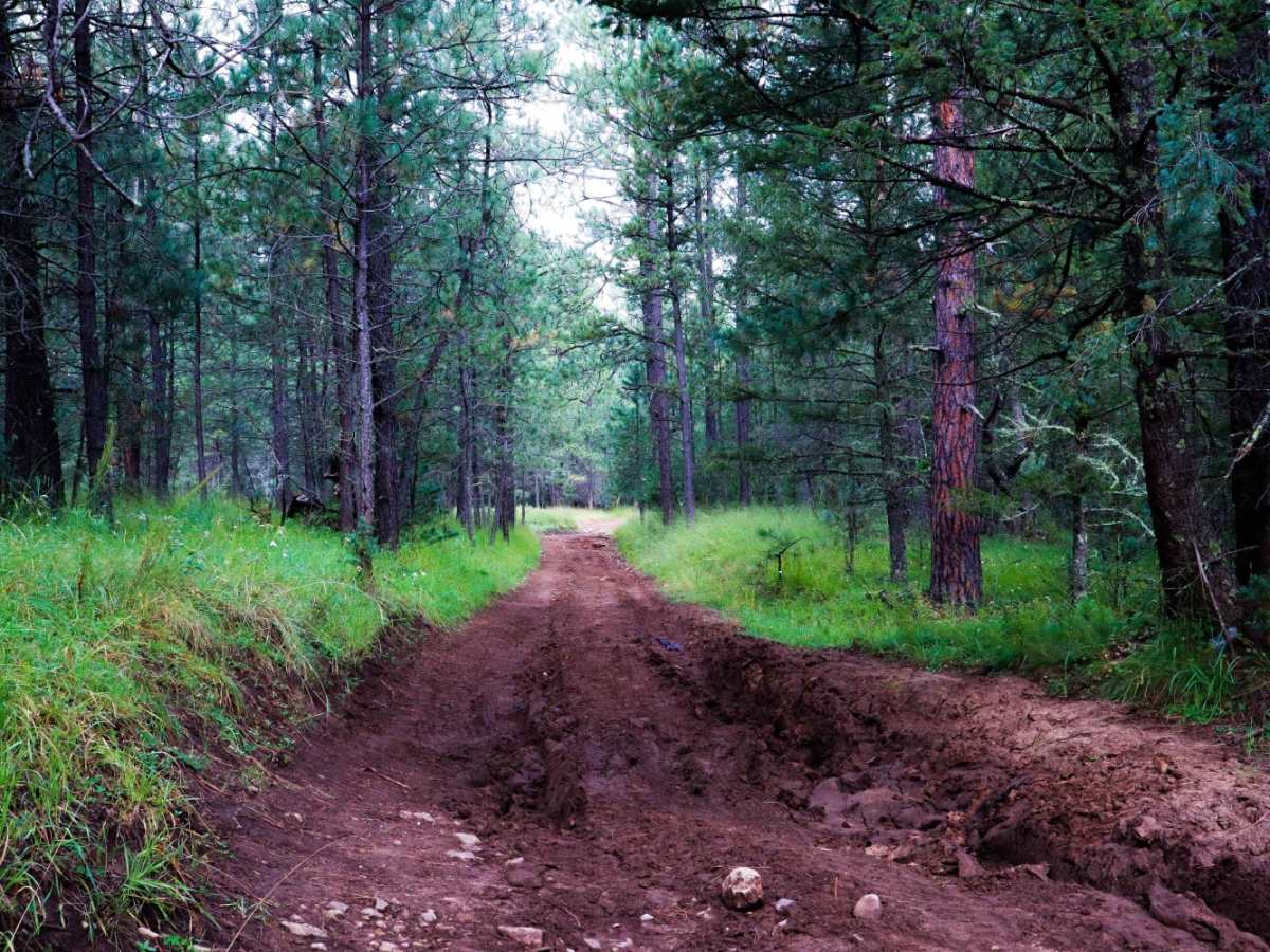 Three Mile Canyon Road photo 3