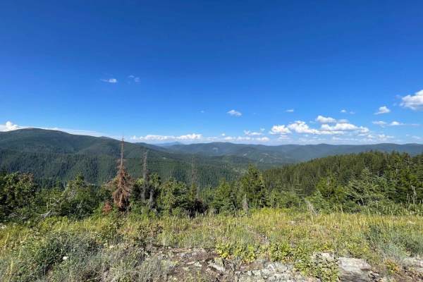Badger Mountain