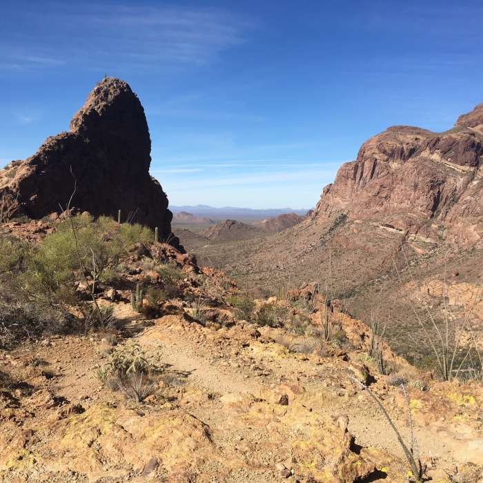 Near Bull Pasture/ Estes Canyon Loop Trail
