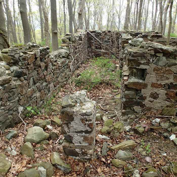 Near Carriage Road