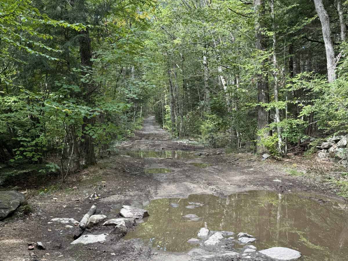 Bartlett Hill Road trail photo