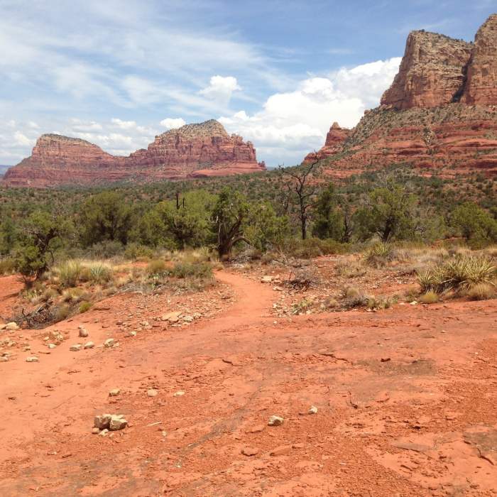 Near Llama Trail