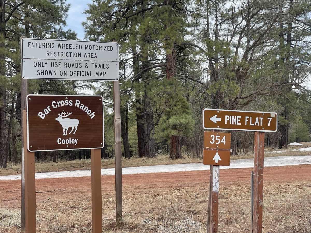 Old 354 Road to Pine Flats photo 5
