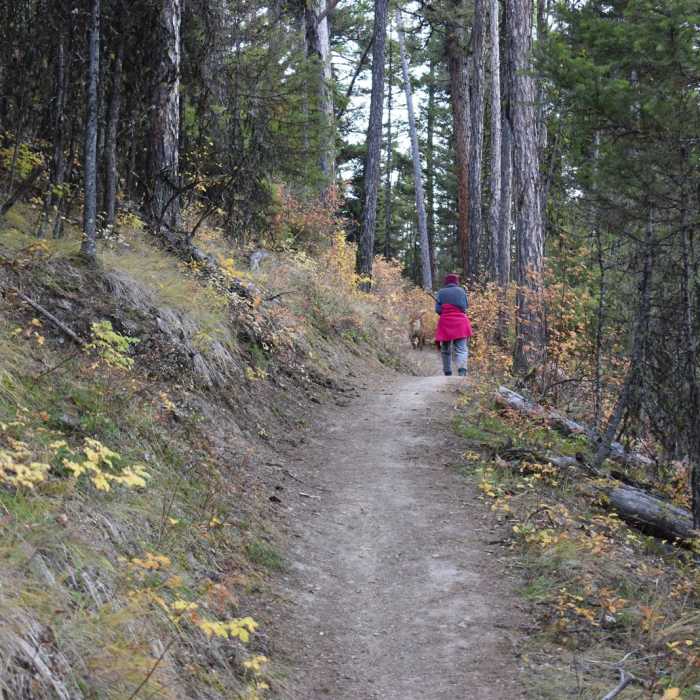 Near Ravine Creek Trail