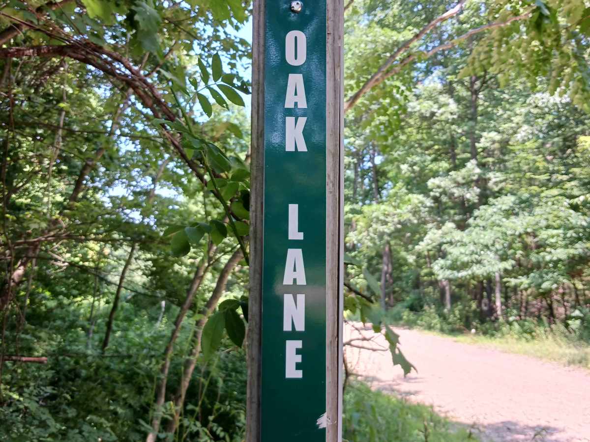 Oak Lane - Rock Run Recreation Area trail photo