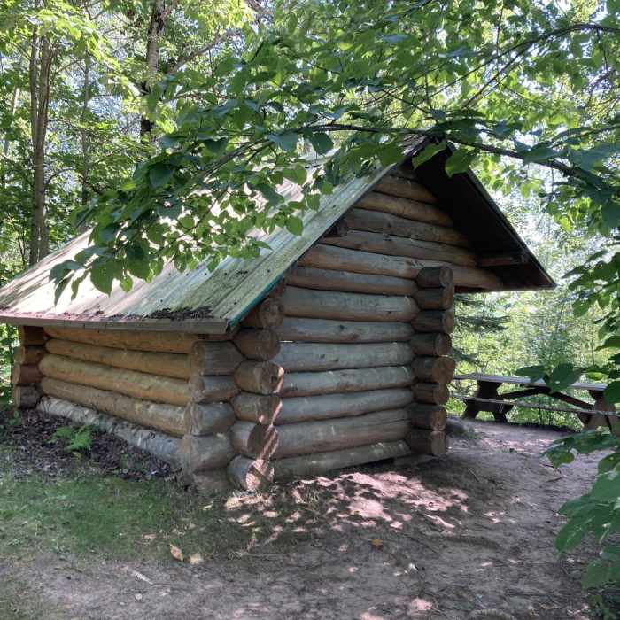 Near White Pine Trail Near White Pine Trail