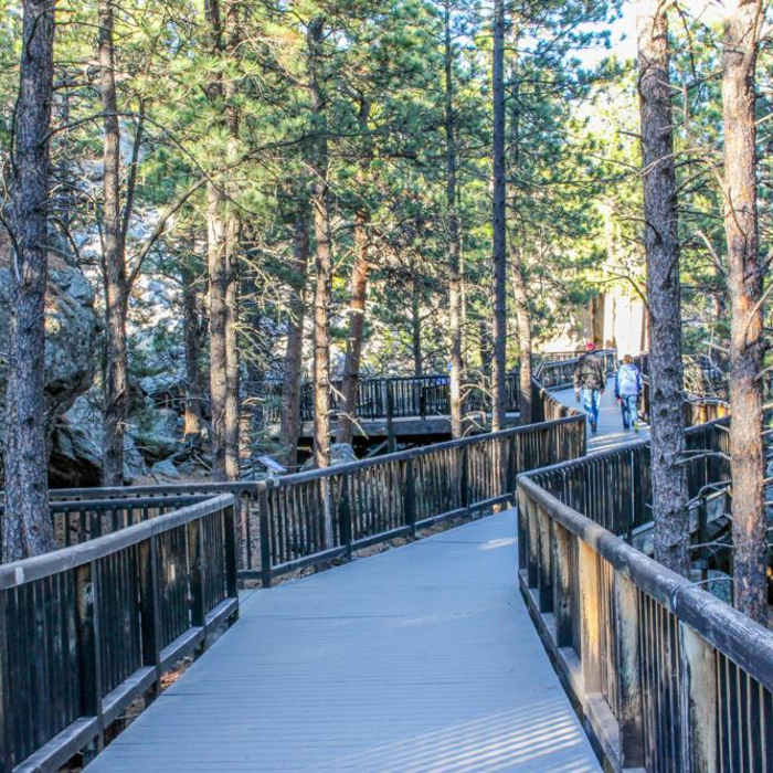 Near Presidential Trail