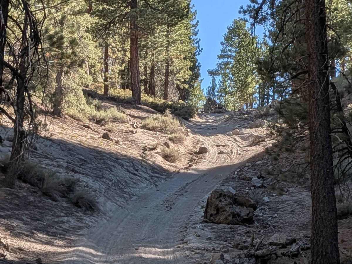 Glass Spur A FS 2S23A trail photo