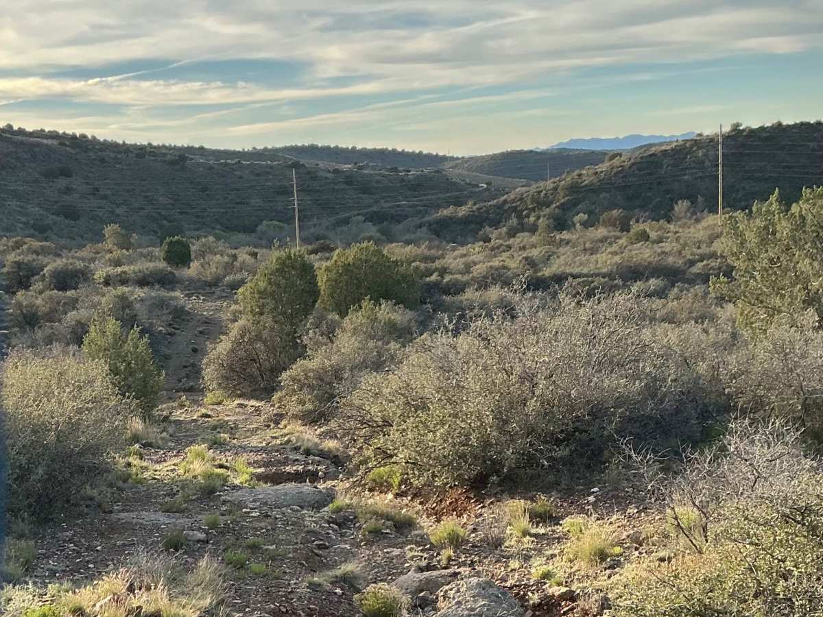 Porque Tank Trail photo 6