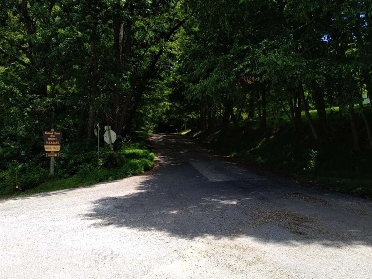 Hog Camp photo 4